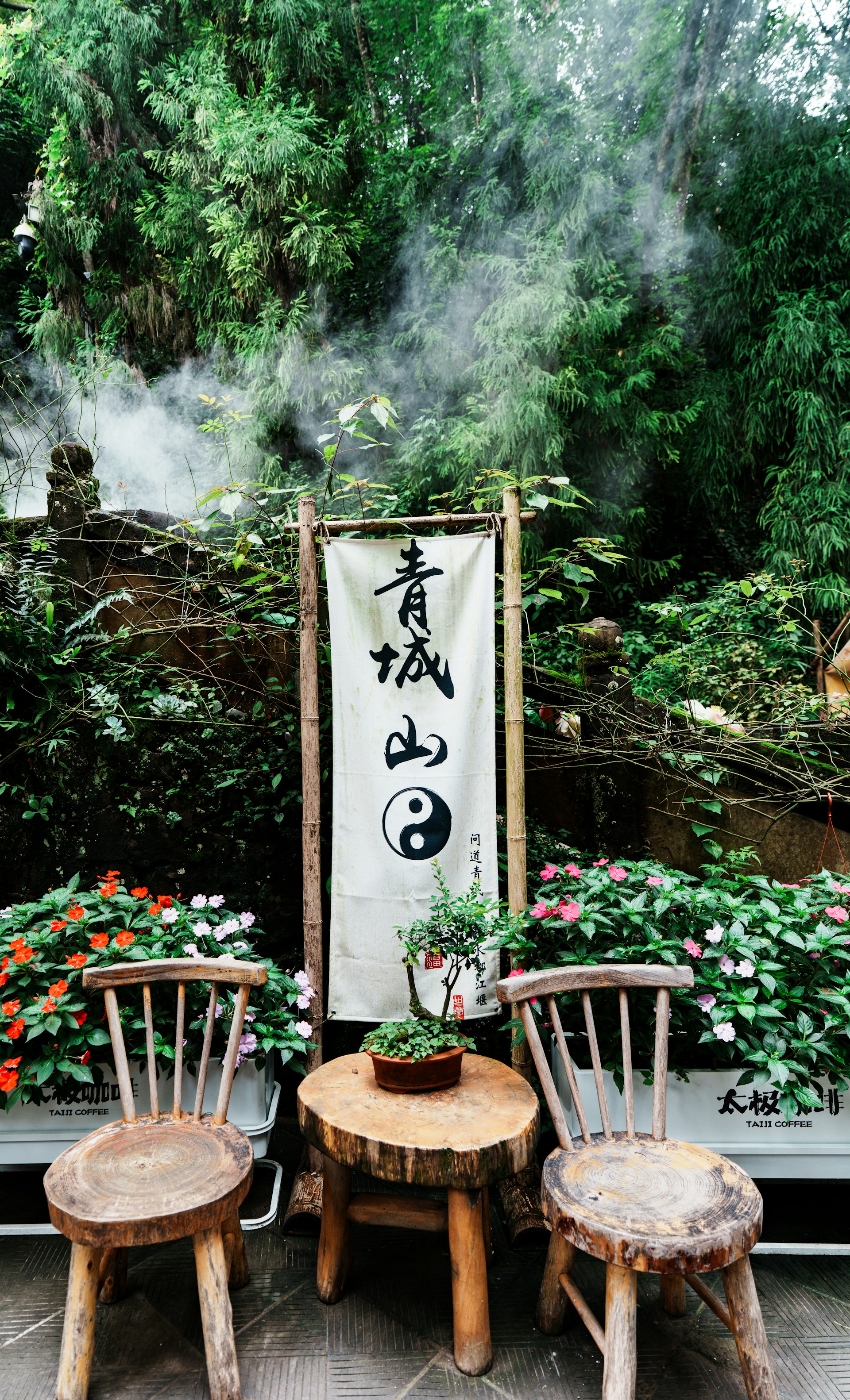 2026都江堰青城山旅游全攻略：分时预约+限流入园，一篇看懂怎么玩